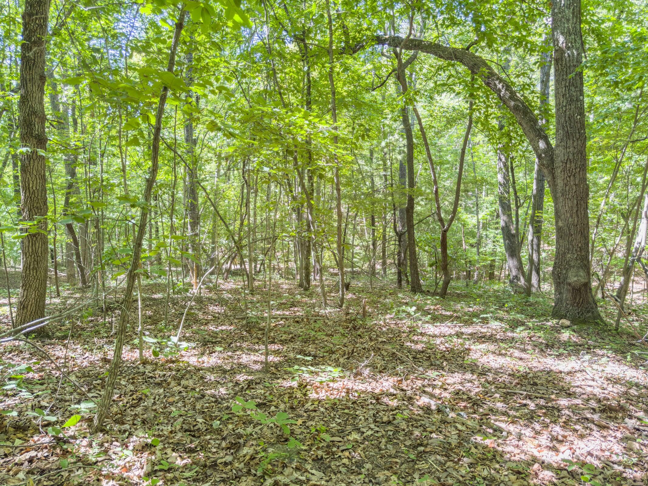 Lot 2 Ball Park Road Rocky Mount, VA 24151 - Photo 15 of 29 a big yard with lots of green space and trees