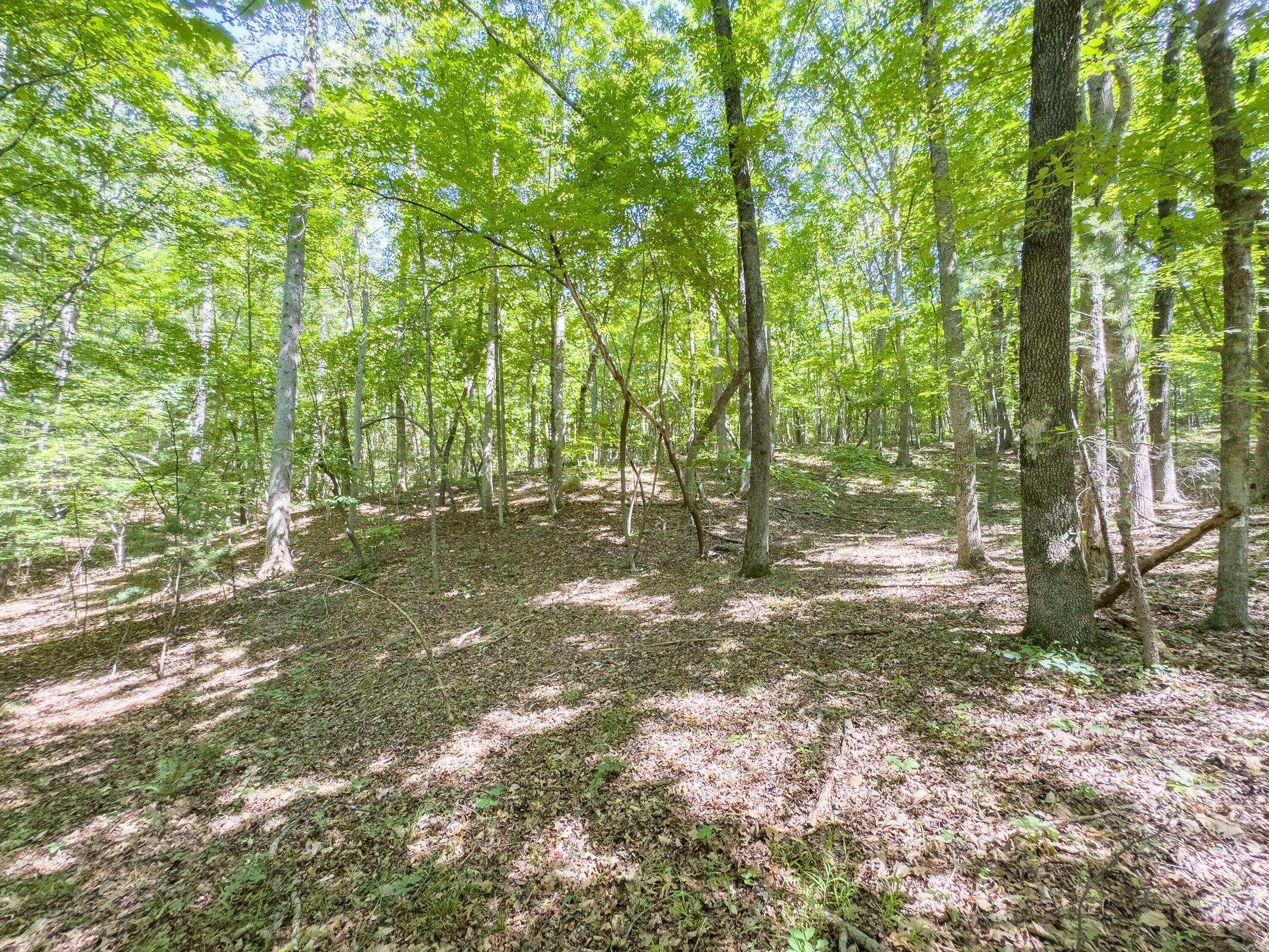 Lot 2 Ball Park Road Rocky Mount, VA 24151 - Photo 16 of 29 a view of backyard with green space