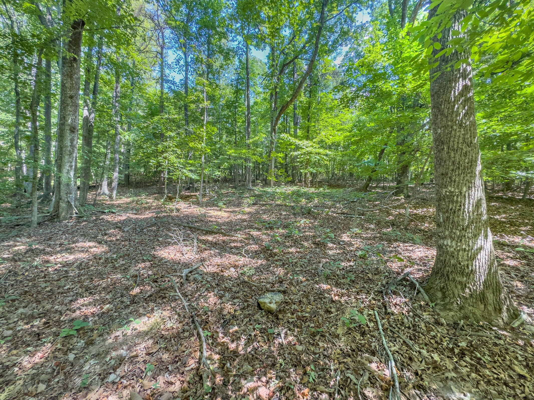Lot 2 Ball Park Road Rocky Mount, VA 24151 - Photo 17 of 29 a view of a forest with trees in the background