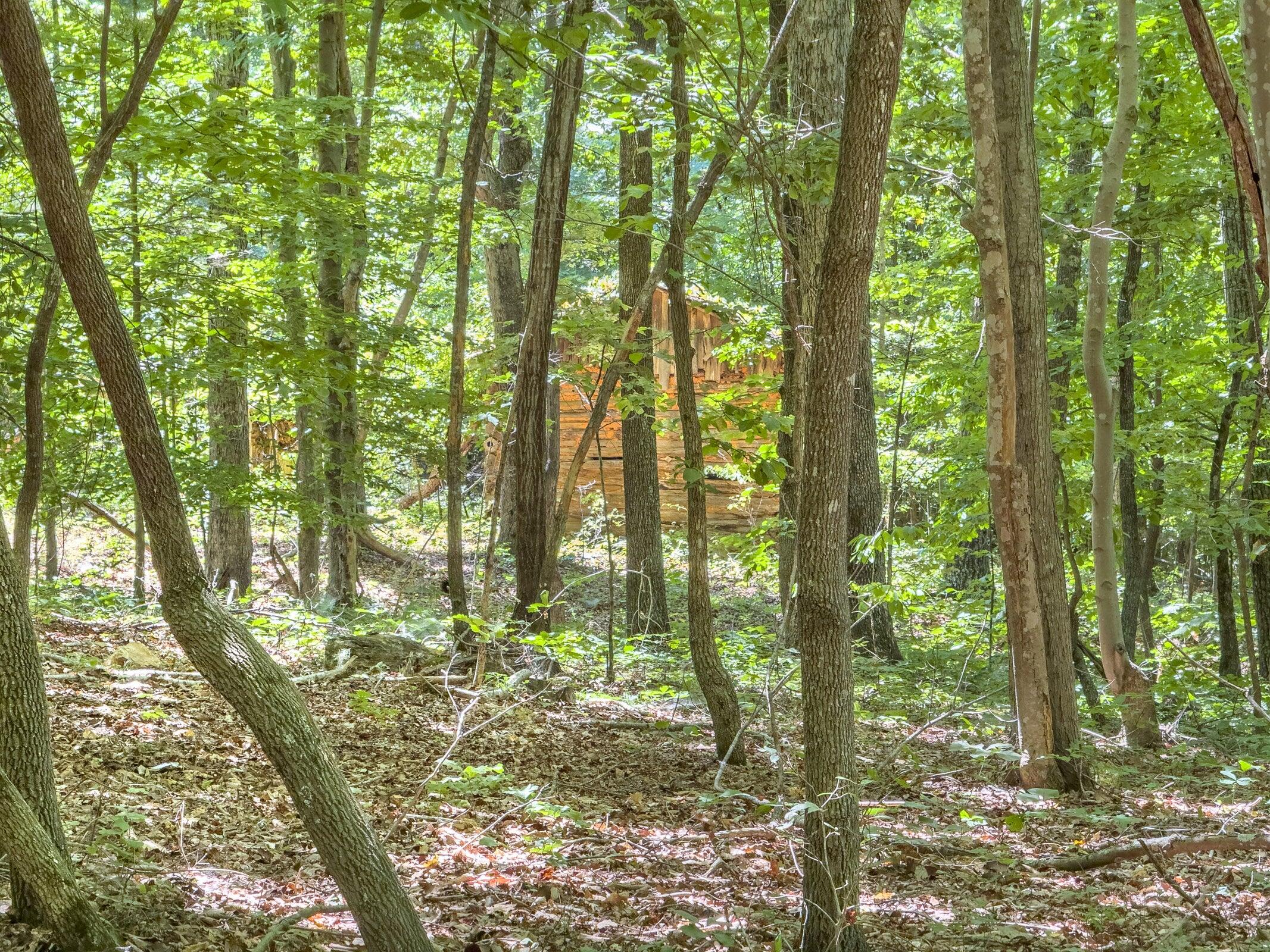 Lot 2 Ball Park Road Rocky Mount, VA 24151 - Photo 19 of 29