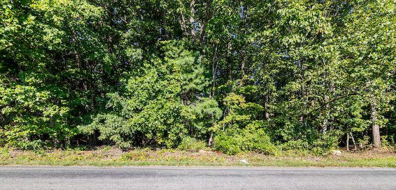 Lot 2 Ball Park Road Rocky Mount, VA 24151 - Photo 2 of 29 a view of a garden
