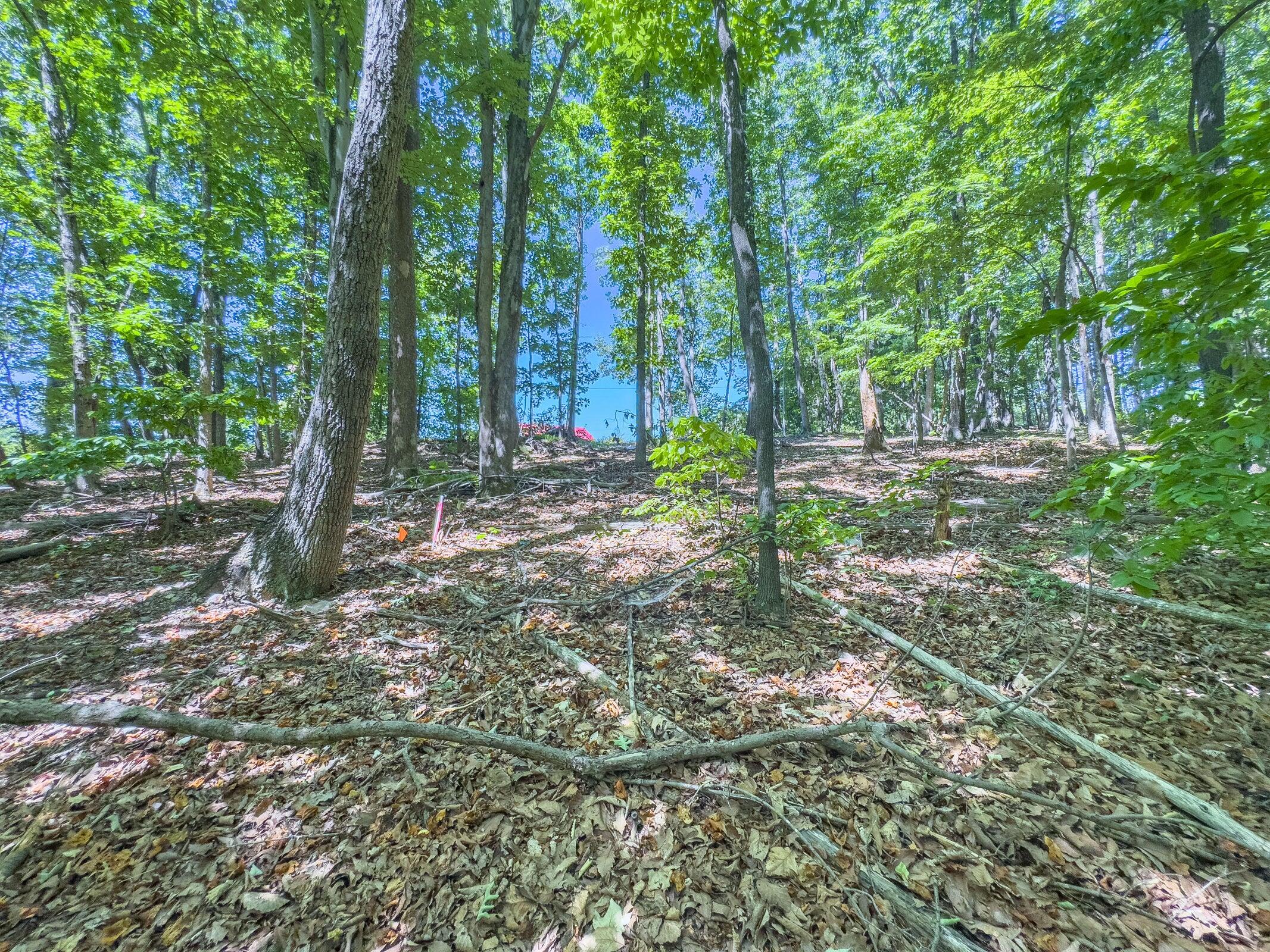 Lot 2 Ball Park Road Rocky Mount, VA 24151 - Photo 22 of 29 a backyard of a house with lots of green space
