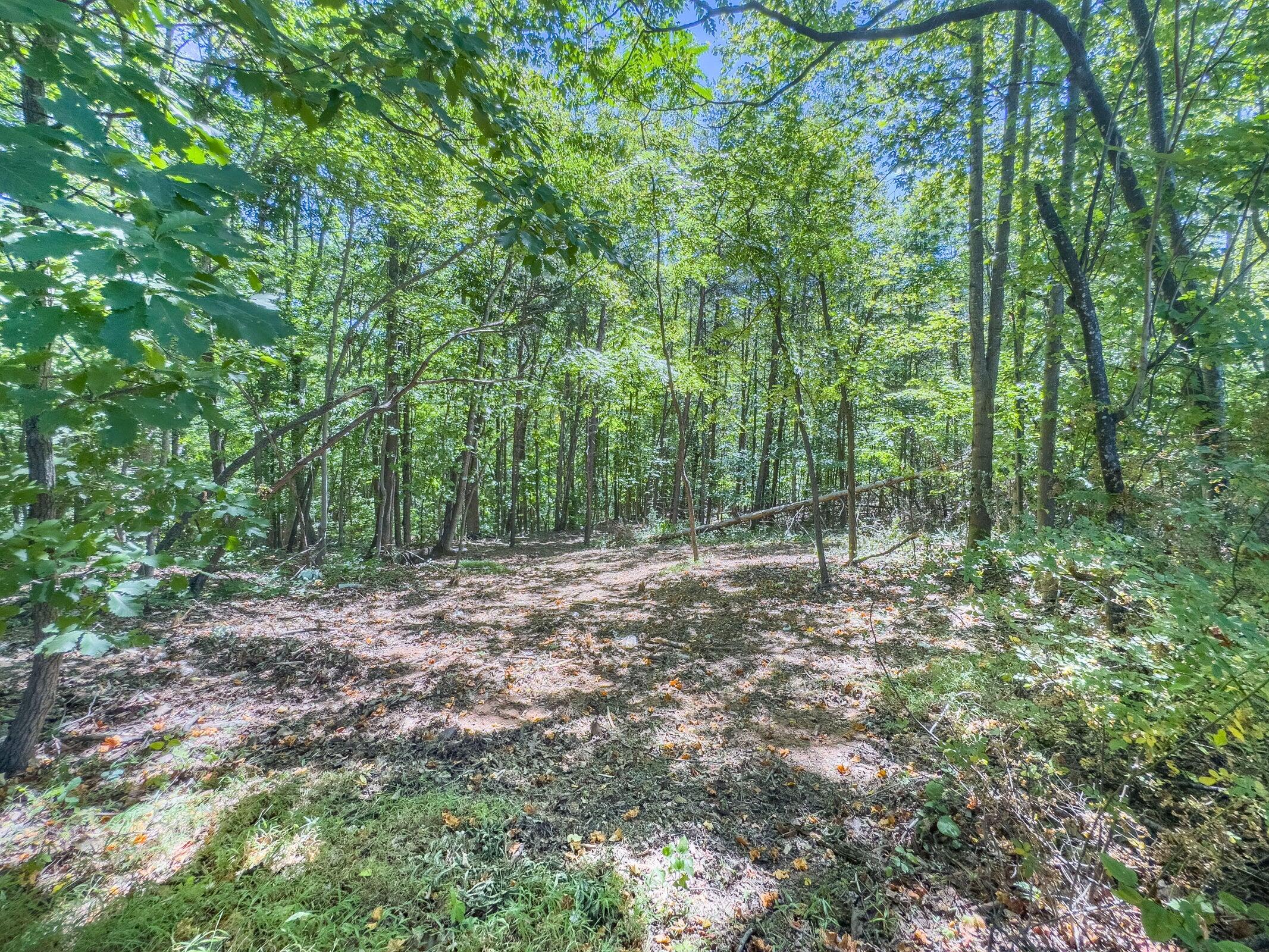 Lot 2 Ball Park Road Rocky Mount, VA 24151 - Photo 24 of 29 a view of outdoor space and trees