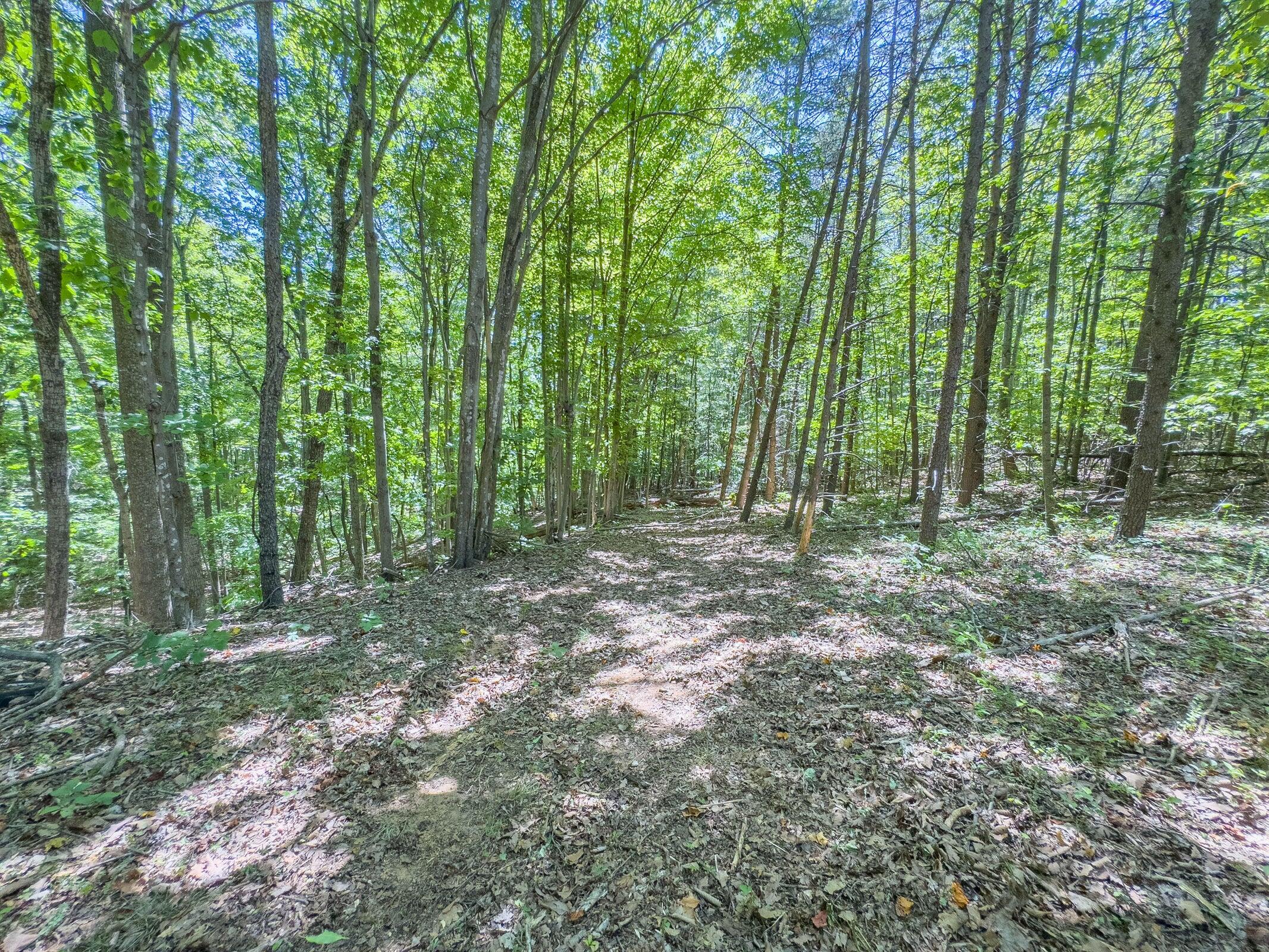 Lot 2 Ball Park Road Rocky Mount, VA 24151 - Photo 25 of 29 a view of outdoor space and green space