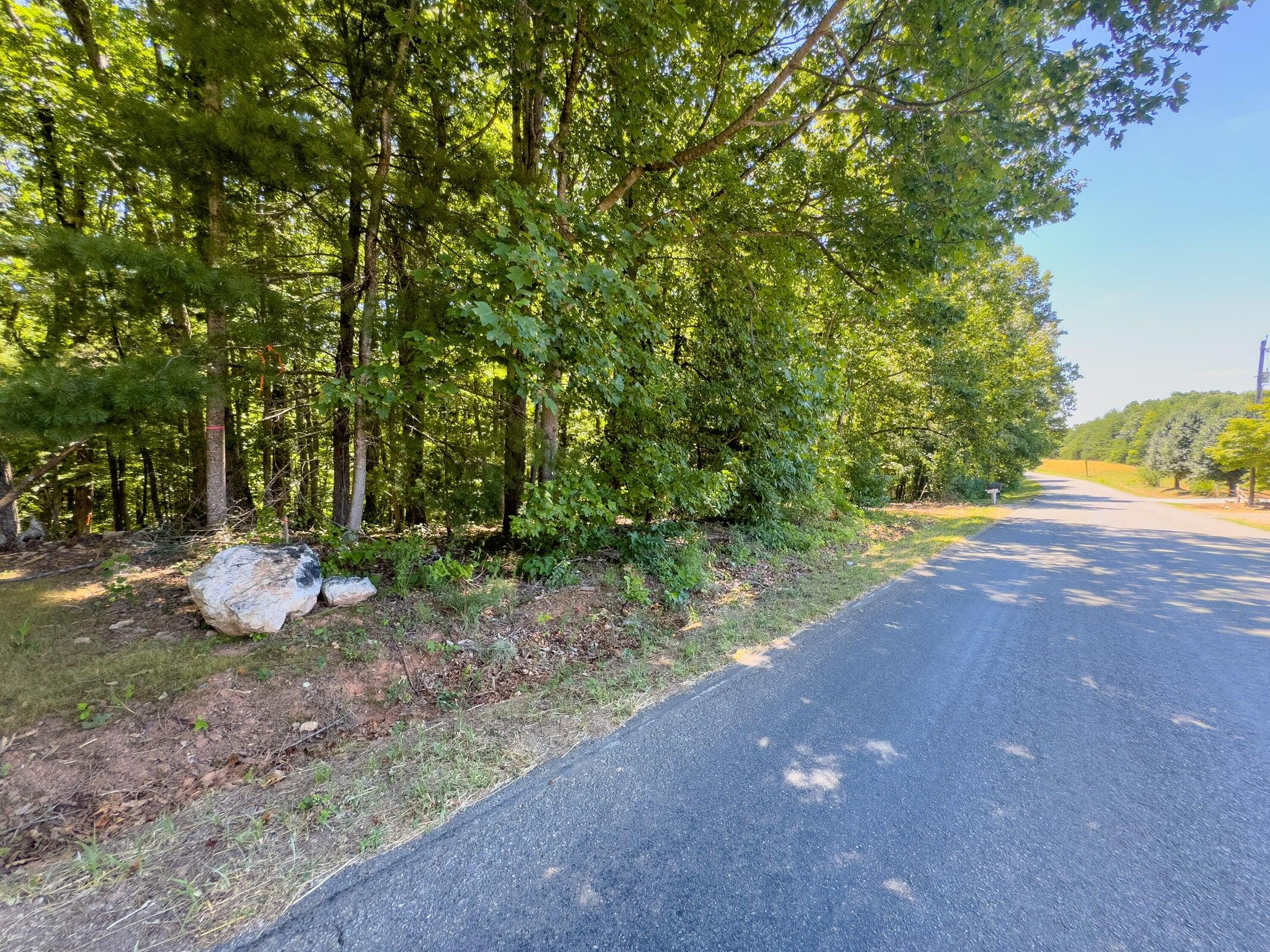 Lot 2 Ball Park Road Rocky Mount, VA 24151 - Photo 27 of 29 a backyard of a house with lots of green space