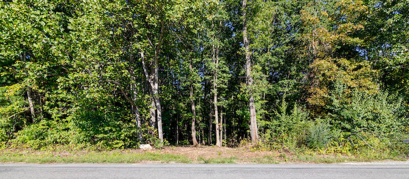 Lot 2 Ball Park Road Rocky Mount, VA 24151 - Photo 3 of 29 a view of a yard with plants and wooden fence