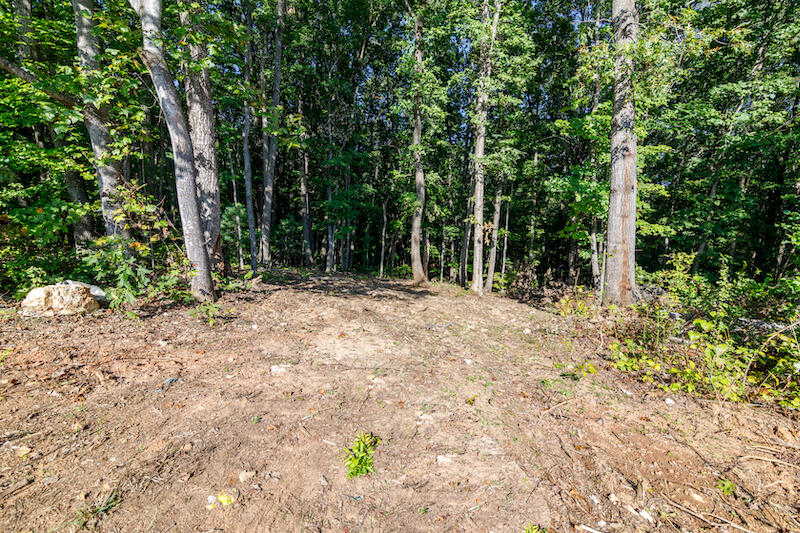 Lot 2 Ball Park Road Rocky Mount, VA 24151 - Photo 4 of 29 a view of outdoor space with trees