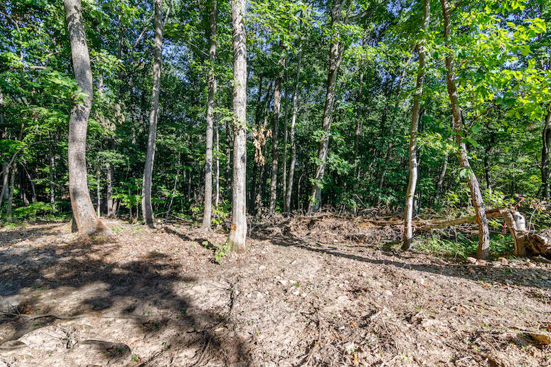 Lot 2 Ball Park Road Rocky Mount, VA 24151 - Photo 7 of 29 a view of a back yard