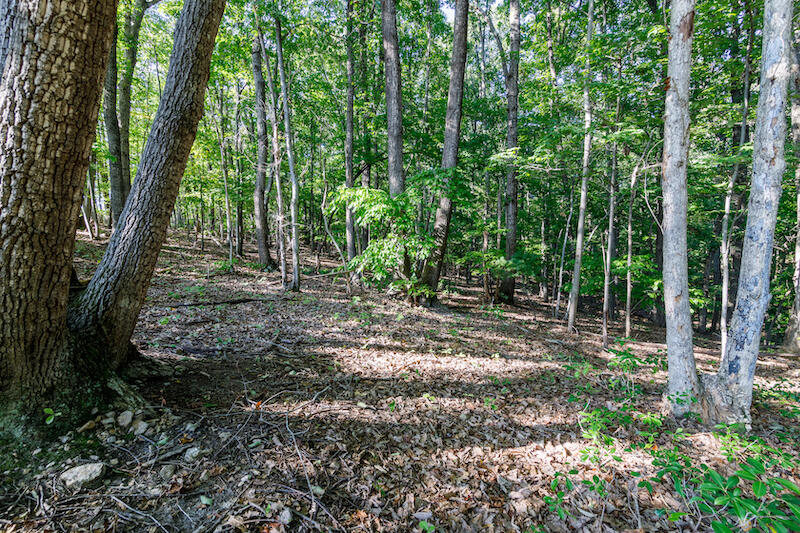 Lot 2 Ball Park Road Rocky Mount, VA 24151 - Photo 8 of 29 a view of outdoor space and green space