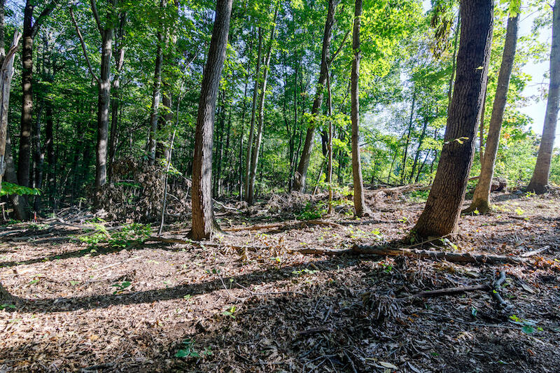 Lot 2 Ball Park Road Rocky Mount, VA 24151 - Photo 9 of 29 a backyard of a house with lots of green space