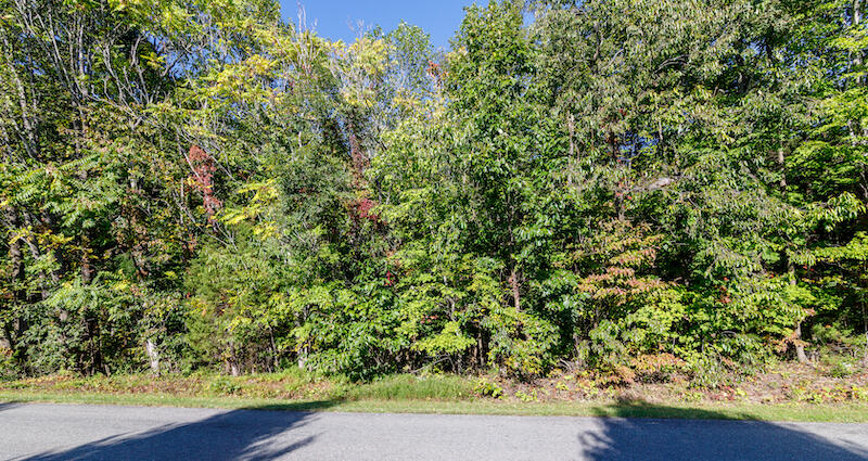 Lot 2 Ball Park Road Rocky Mount, VA 24151 - Photo 10 of 29 a view of a yard with plants