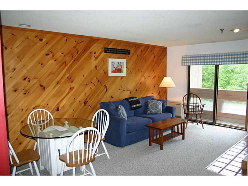 10 Mountain Side Road, Unit 10 Kingfield, ME 04947 - Photo 2 of 6 Living Room.