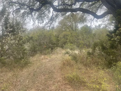 a view of a yard with a tree