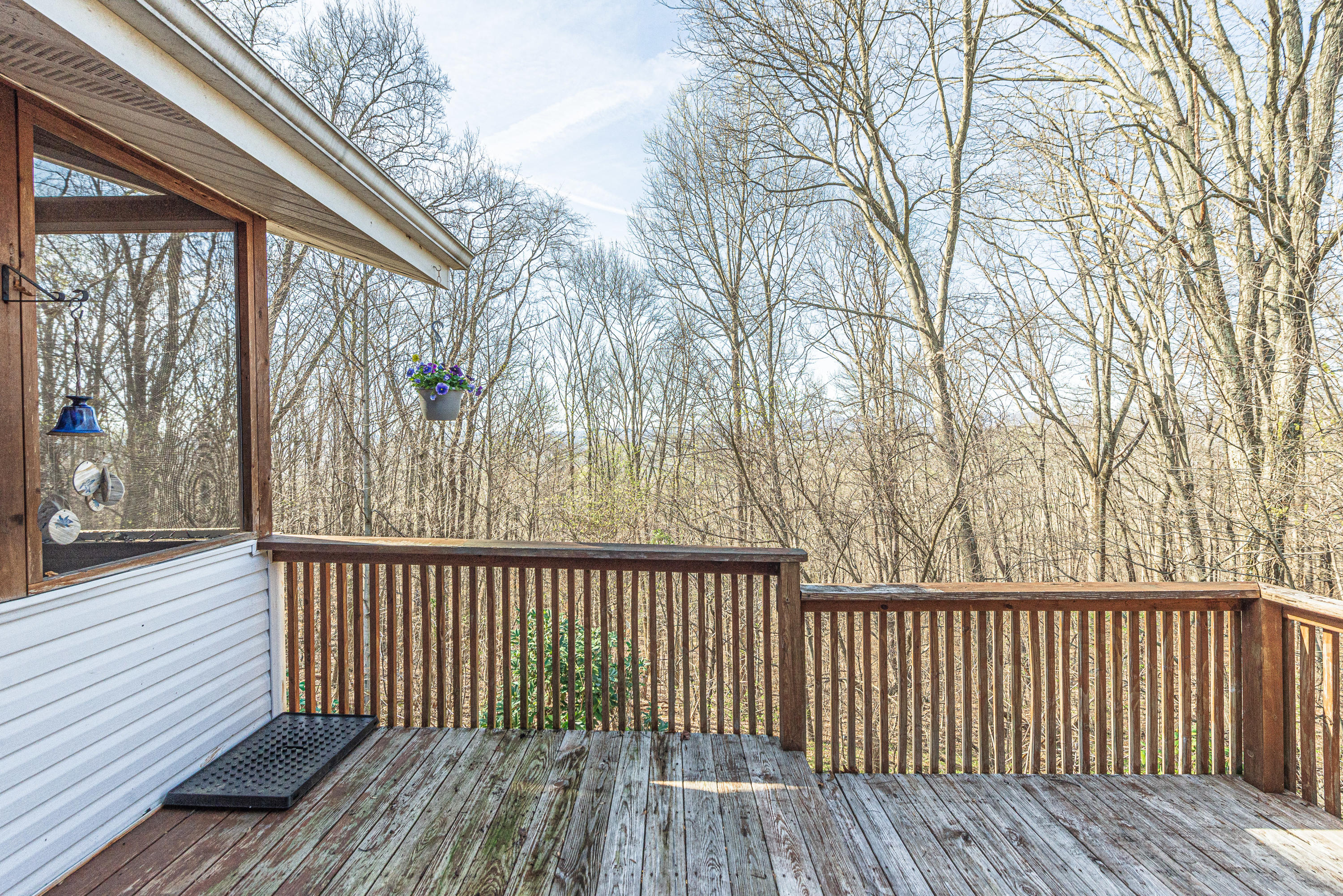 4768 Edens View Road Kingsport, TN 37664 - Photo 40 of 59 DSC_4606