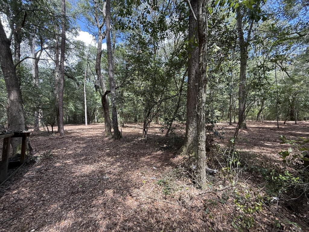 1954 Maddox Road Ochlocknee, GA 31773 - Photo 3 of 31 Gallery Image 3