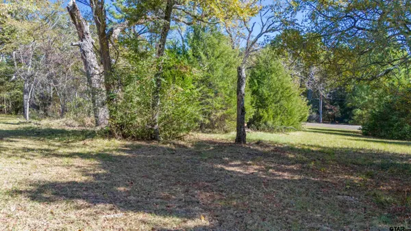 $75,000 | 17965 Windsong Lane, Flint, TX 75762