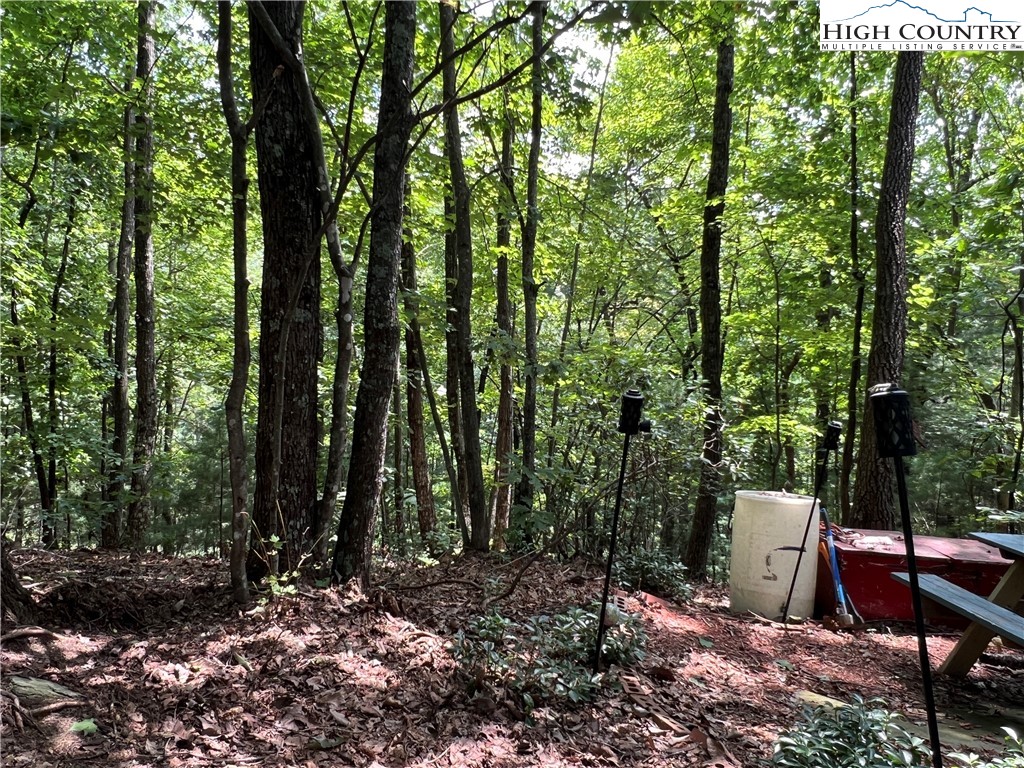 465 Shepherds Run Purlear, NC 28665 - Photo 21 of 47 a view of a forest with trees