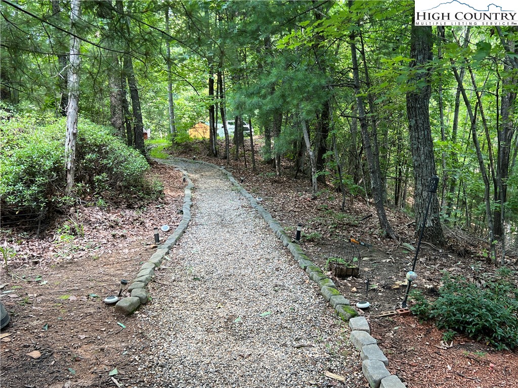 465 Shepherds Run Purlear, NC 28665 - Photo 25 of 47 a view of a forest with trees in the background