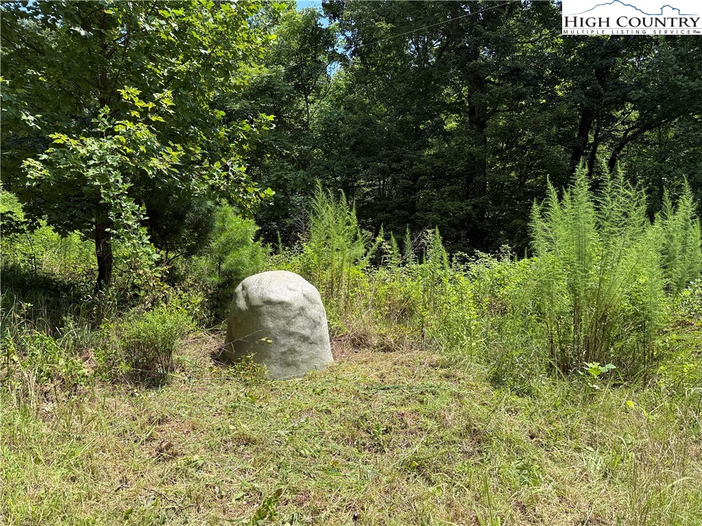 465 Shepherds Run Purlear, NC 28665 - Photo 30 of 47 a view of a garden