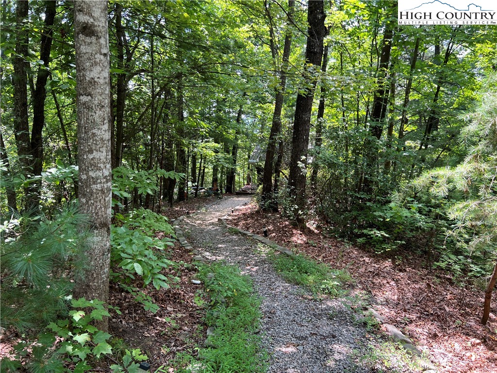 465 Shepherds Run Purlear, NC 28665 - Photo 5 of 47 a view of a forest that has large trees