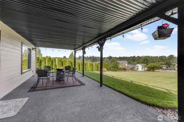 a view of a garden with a tree