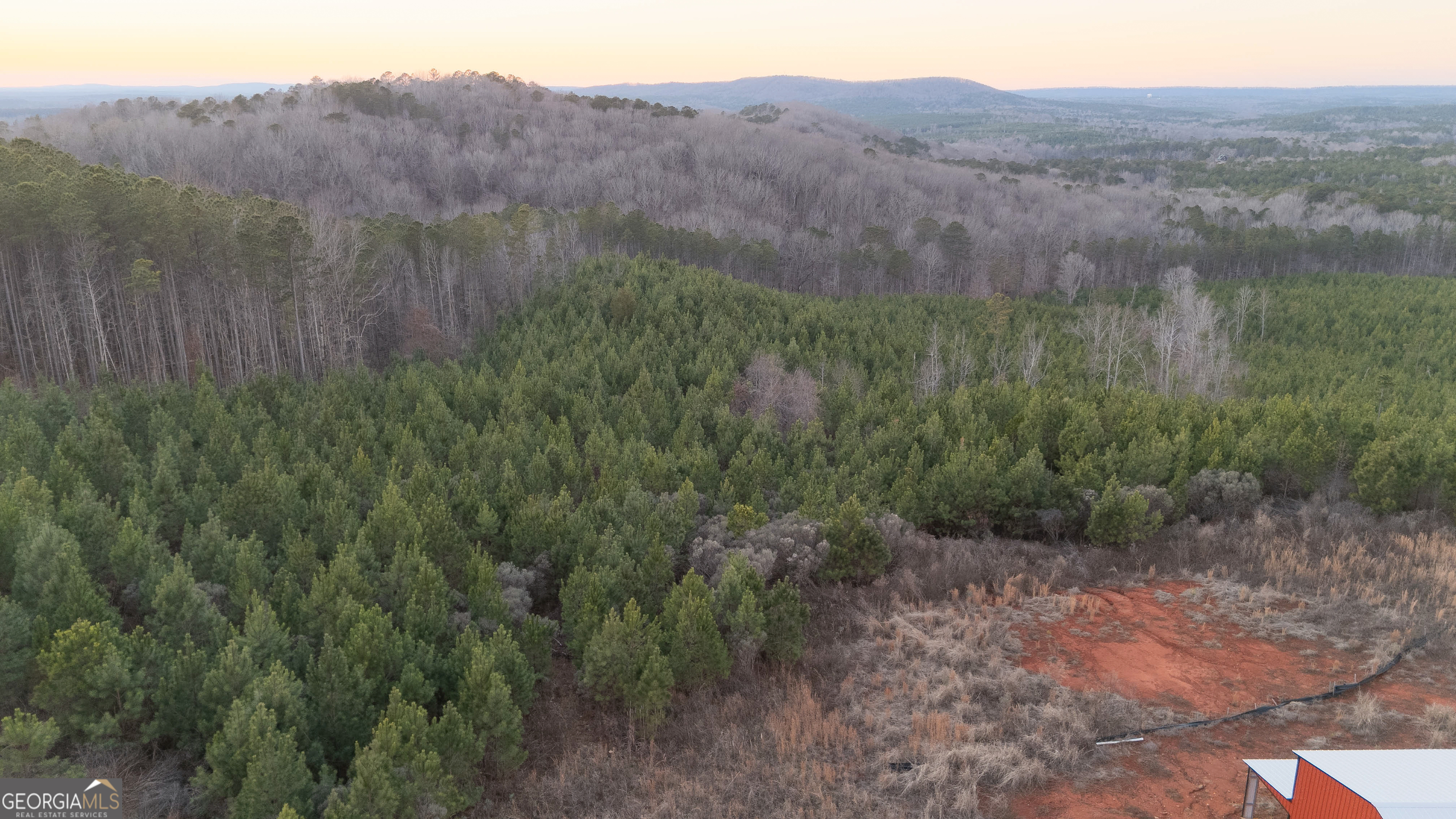 723 Brown Creek Road Shiloh, GA 31826 - Photo 6 of 14