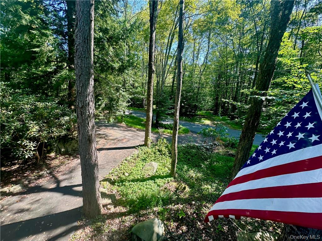 74 Swinging Bridge Estate Road Monticello, NY 12701 - Photo 34 of 36 a view of a yard with plants and large trees