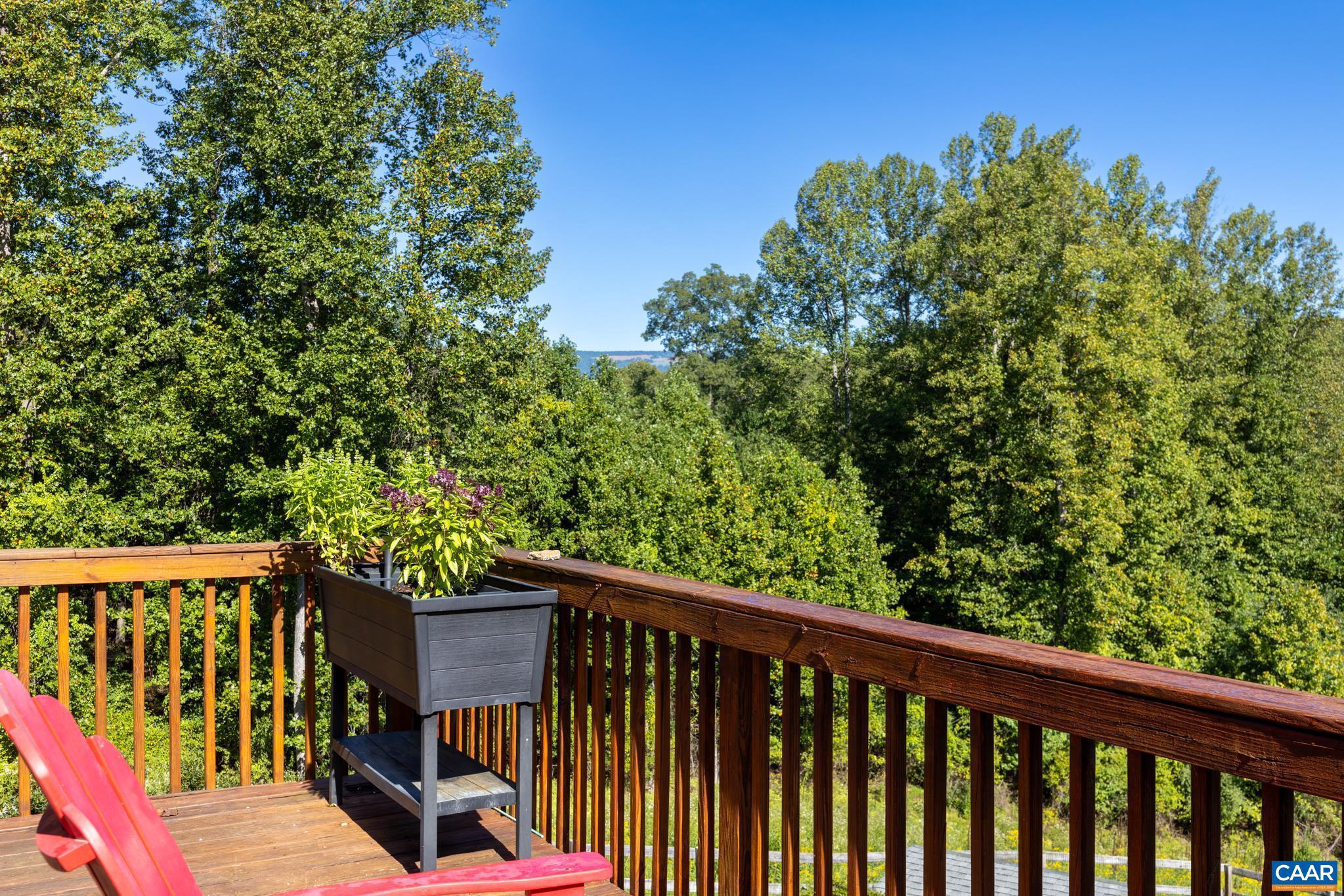 8000 Batesville Road Afton, VA 22920 - Photo 51 of 53 Gallery Image 51