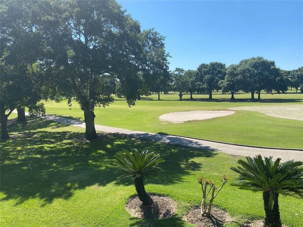 a view of a golf course with a tree
