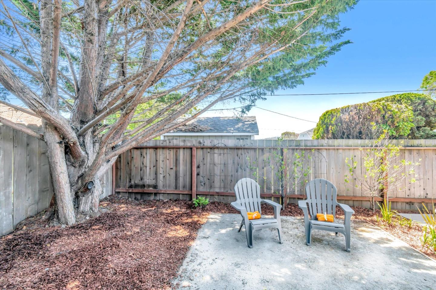 714 Cherry Avenue San Bruno, CA 94066 - Photo 26 of 29 a view of a backyard with furniture and a tree