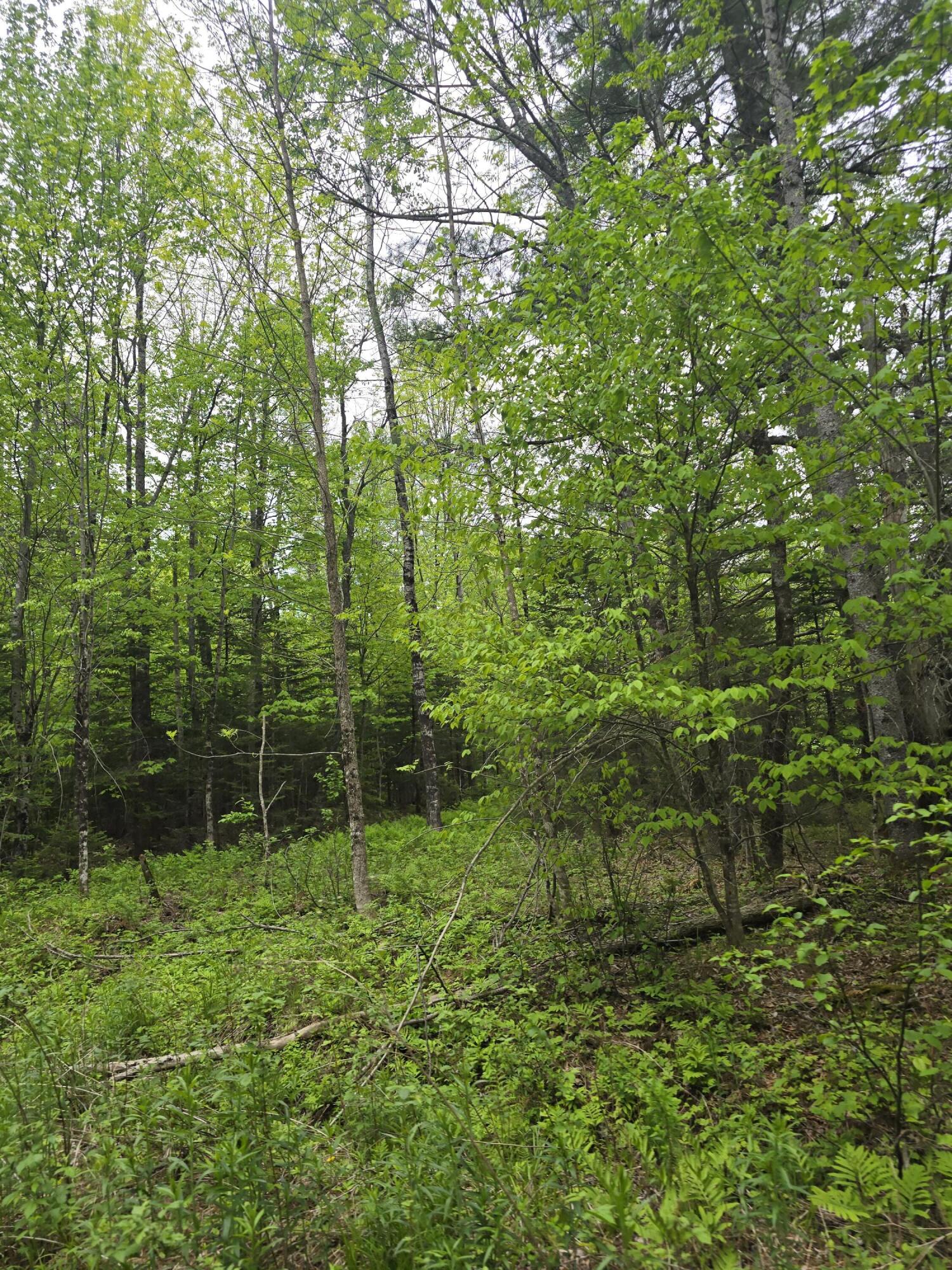 212 Mile Square Road Phillips, ME 04966 - Photo 32 of 33 9
