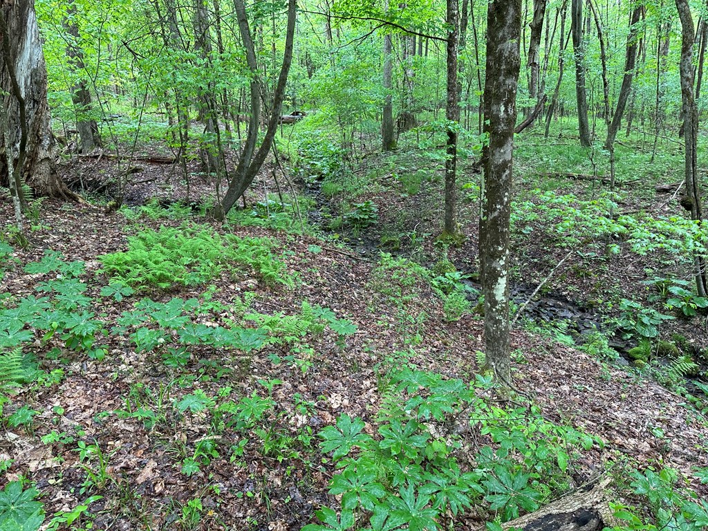 979 Tarr Road Titusville, PA 16354 - Photo 11 of 11