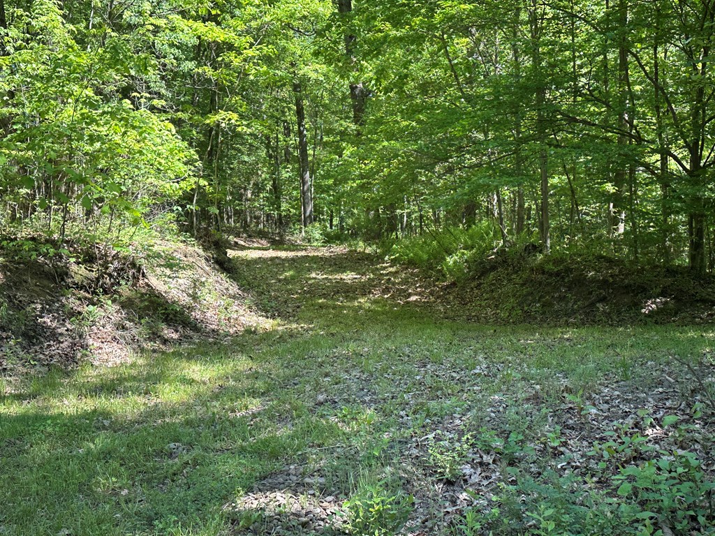 979 Tarr Road Titusville, PA 16354 - Photo 9 of 11
