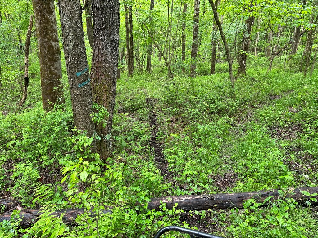 979 Tarr Road Titusville, PA 16354 - Photo 10 of 11
