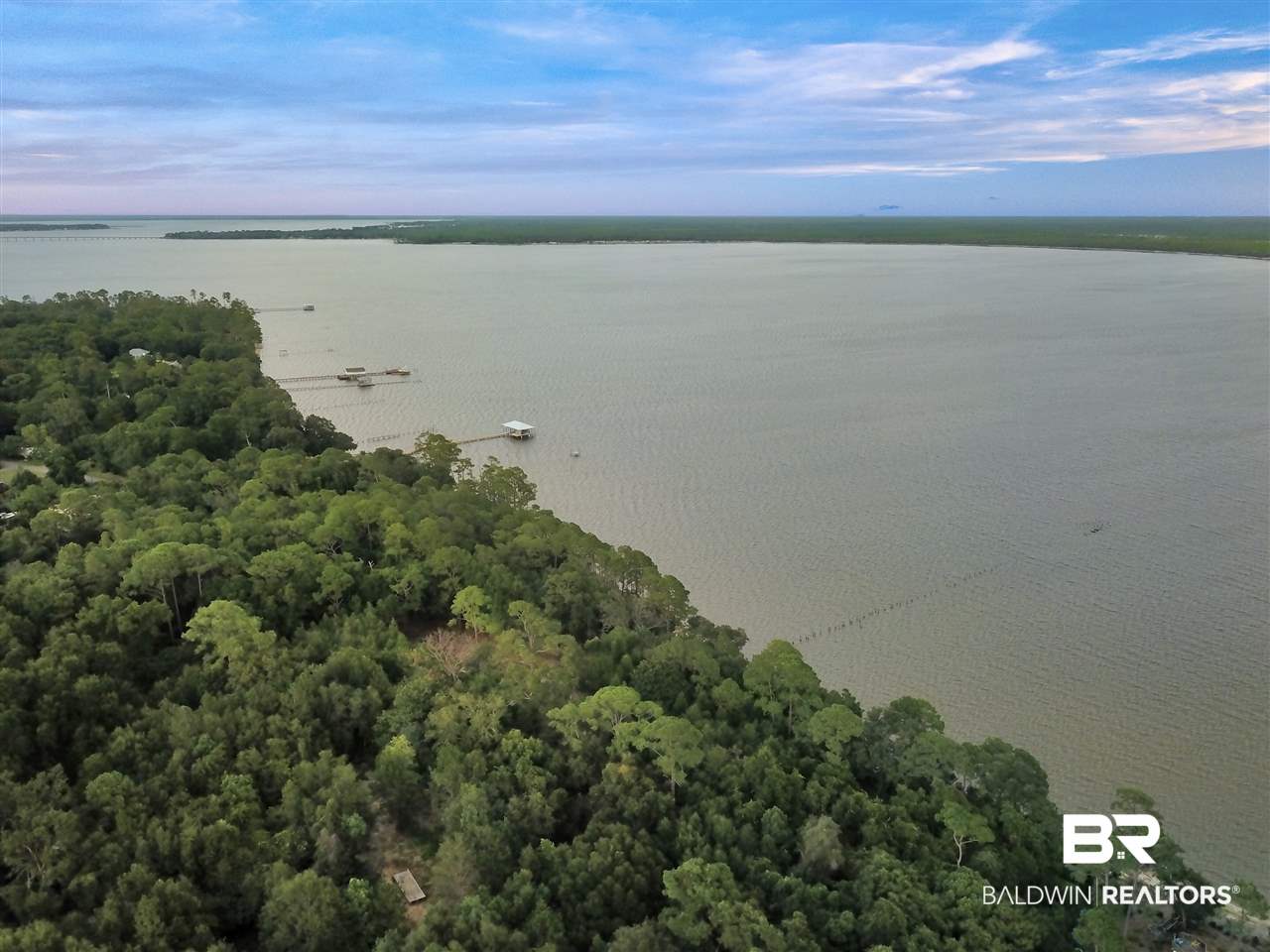10300 County Road 99 Lillian, AL 36549 - Photo 10 of 14