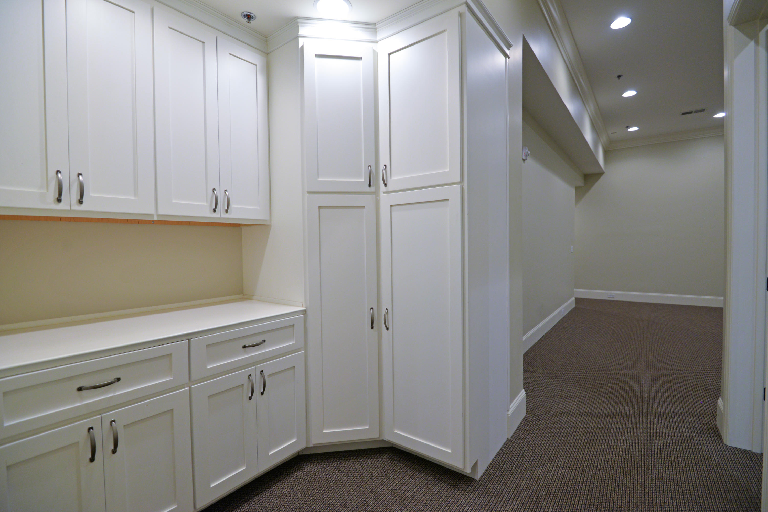 554 Whitehall Road, Unit 126 Chattanooga, TN 37405 - Photo 55 of 60 Basement built-ins