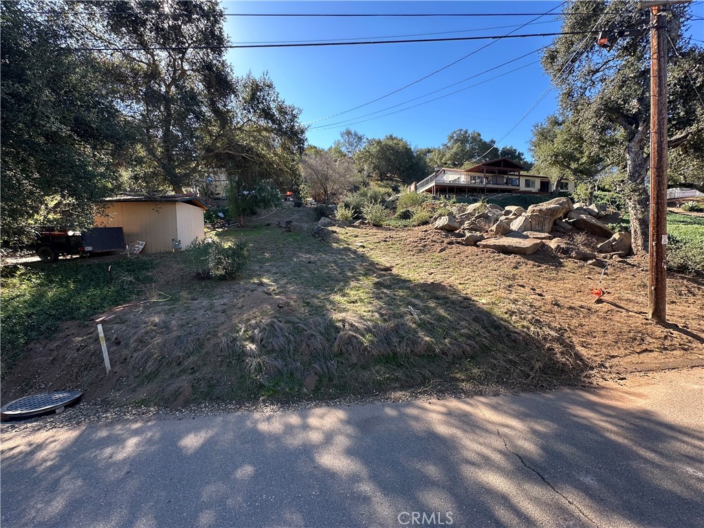 a view of a backyard with plants and trees