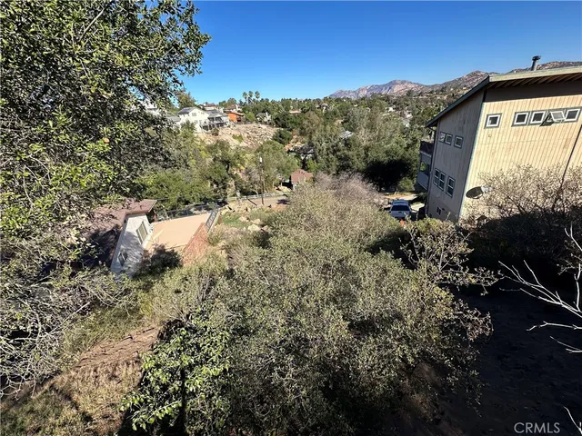 a view of a forest with a mountain in the background