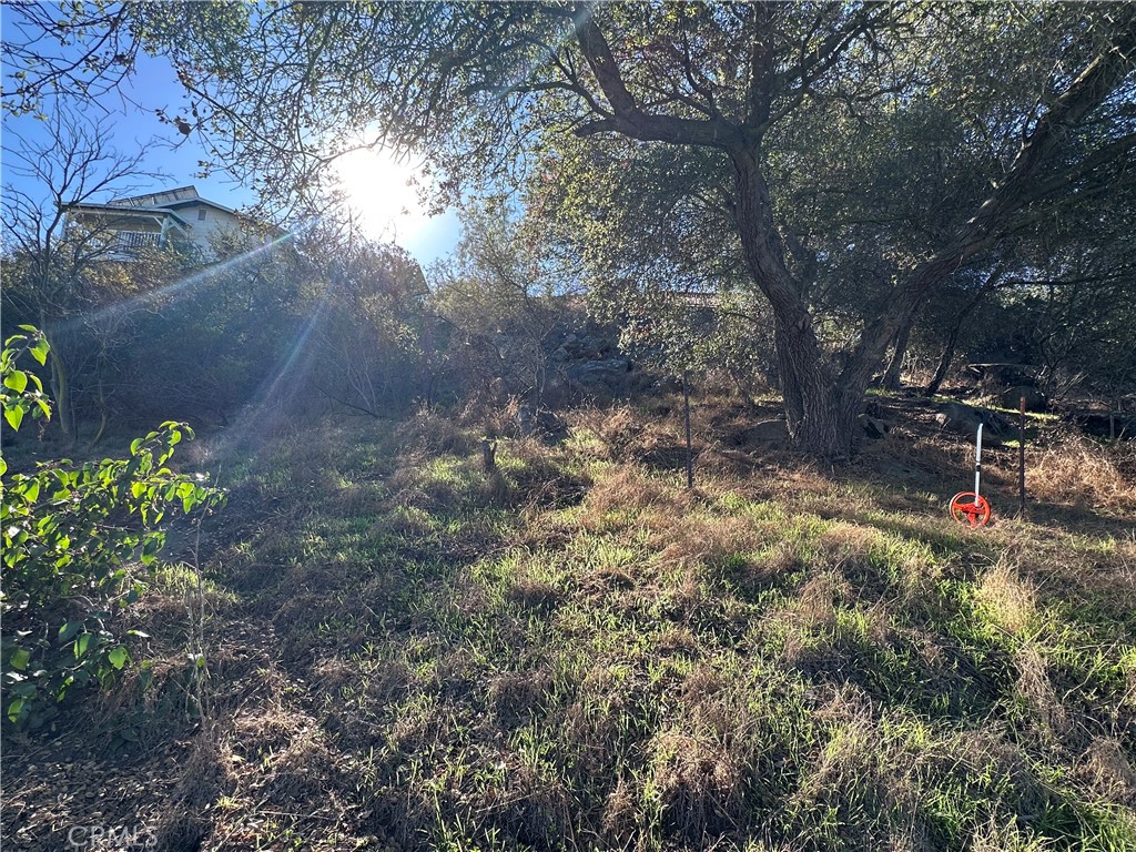 0 Highline Trail El Cajon, CA 92021 - Photo 18 of 22 a view of a forest with trees