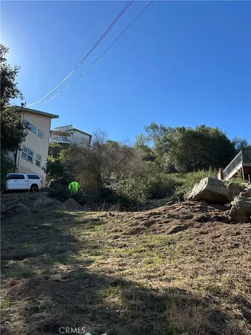 a view of a yard with trees