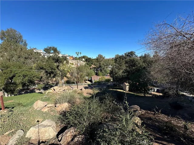 a view of a tree with a yard