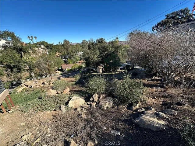a view of a forest with a yard