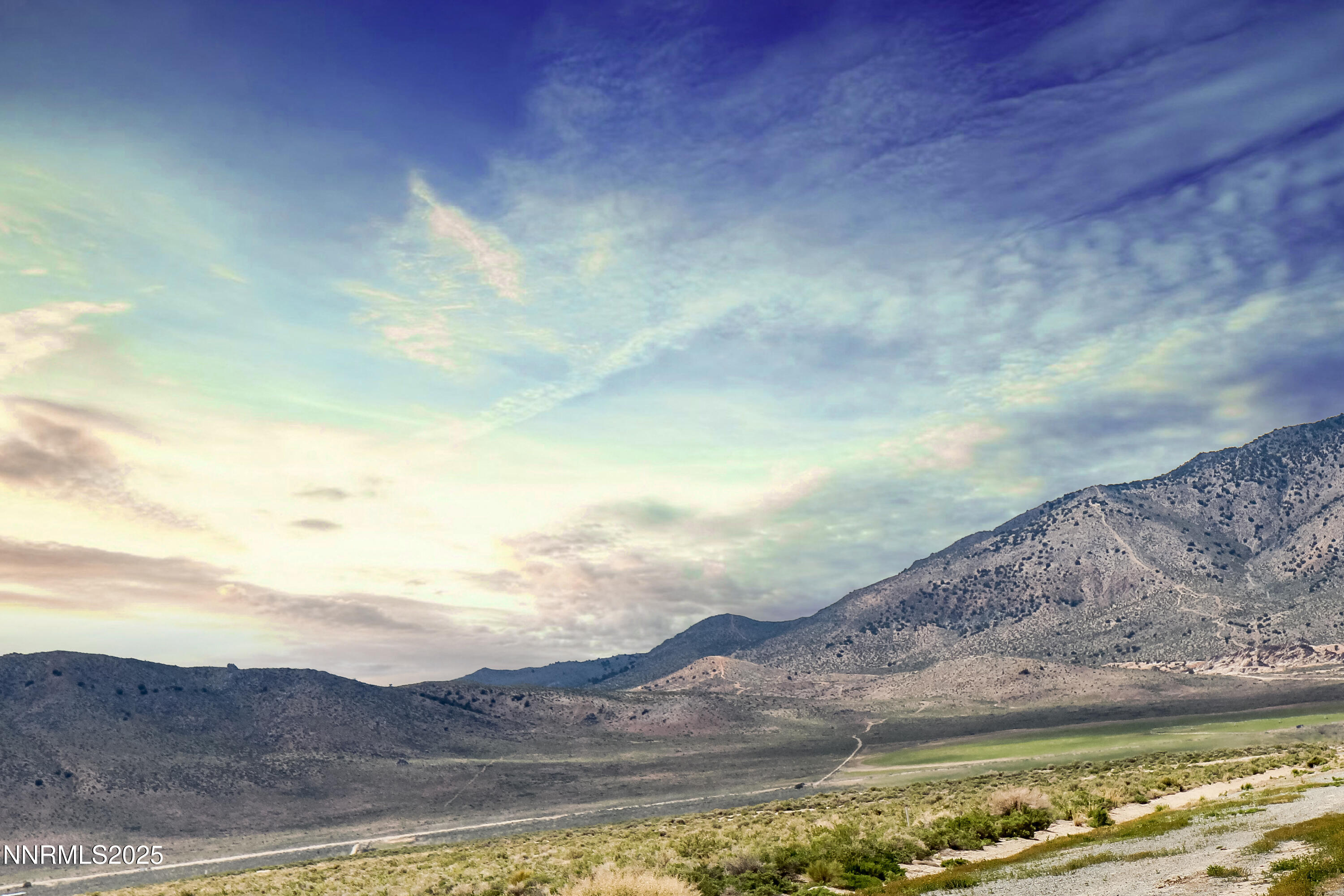 5300 Flying Eagle Drive Reno, NV 89510 - Photo 14 of 23 a view of a backyard with mountain