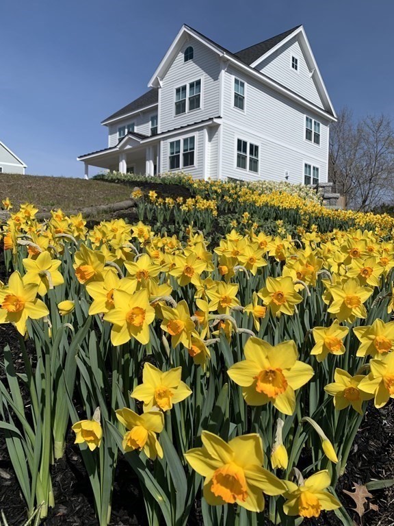 116 Bennett Hill Road Rowley, MA 01969 - Photo 2 of 20