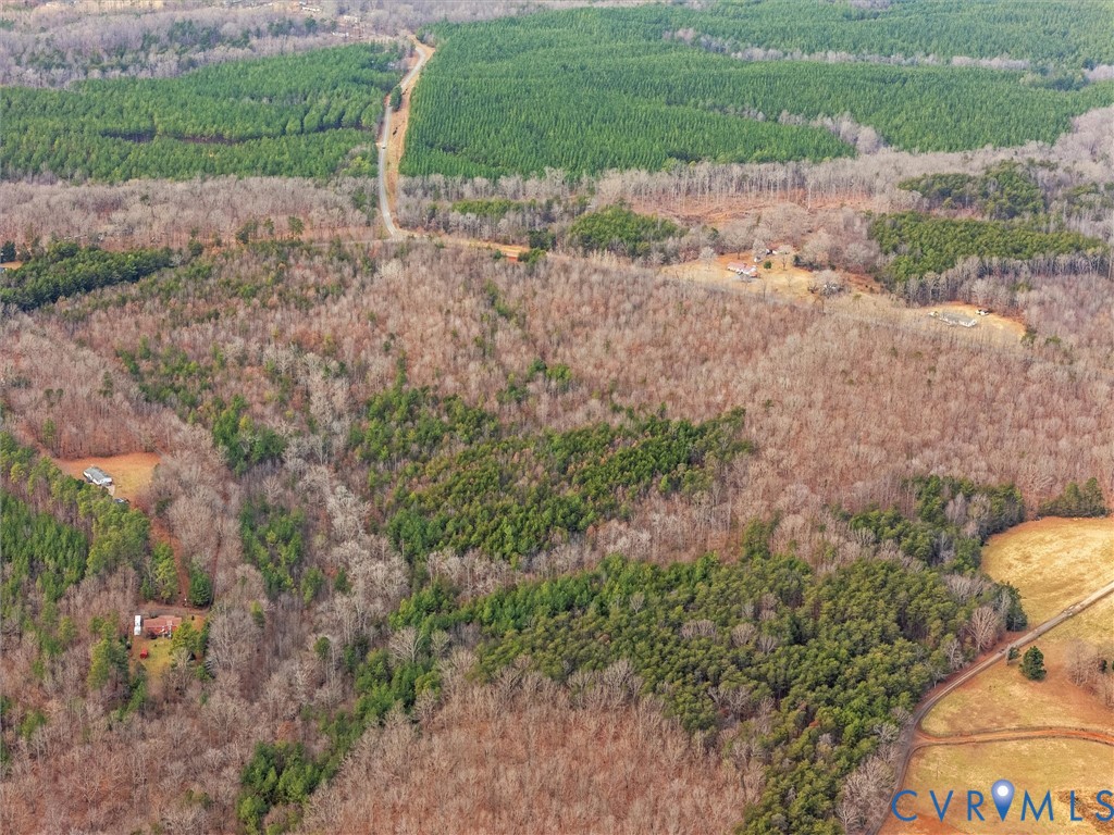 0 Hall Road Buckingham, VA 23921 - Photo 7 of 13