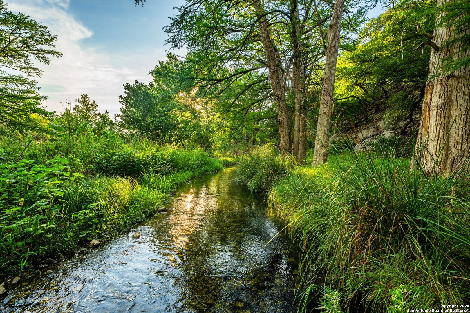 240 River Bend Road West Hunt, TX 78024 - Photo 29 of 45 a view of a garden with plants and large trees