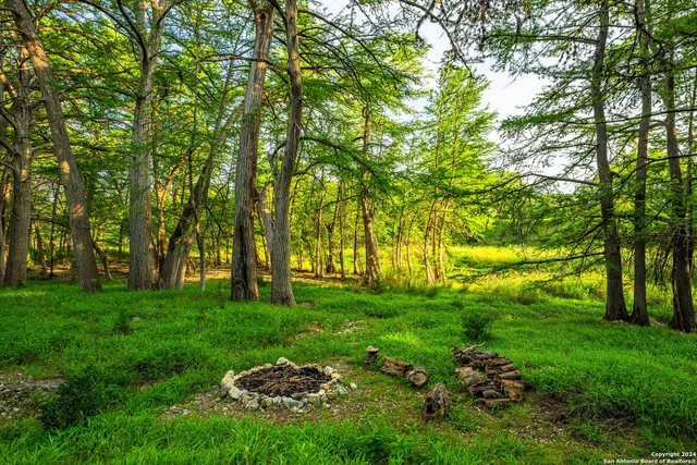 a backyard of a building with large trees