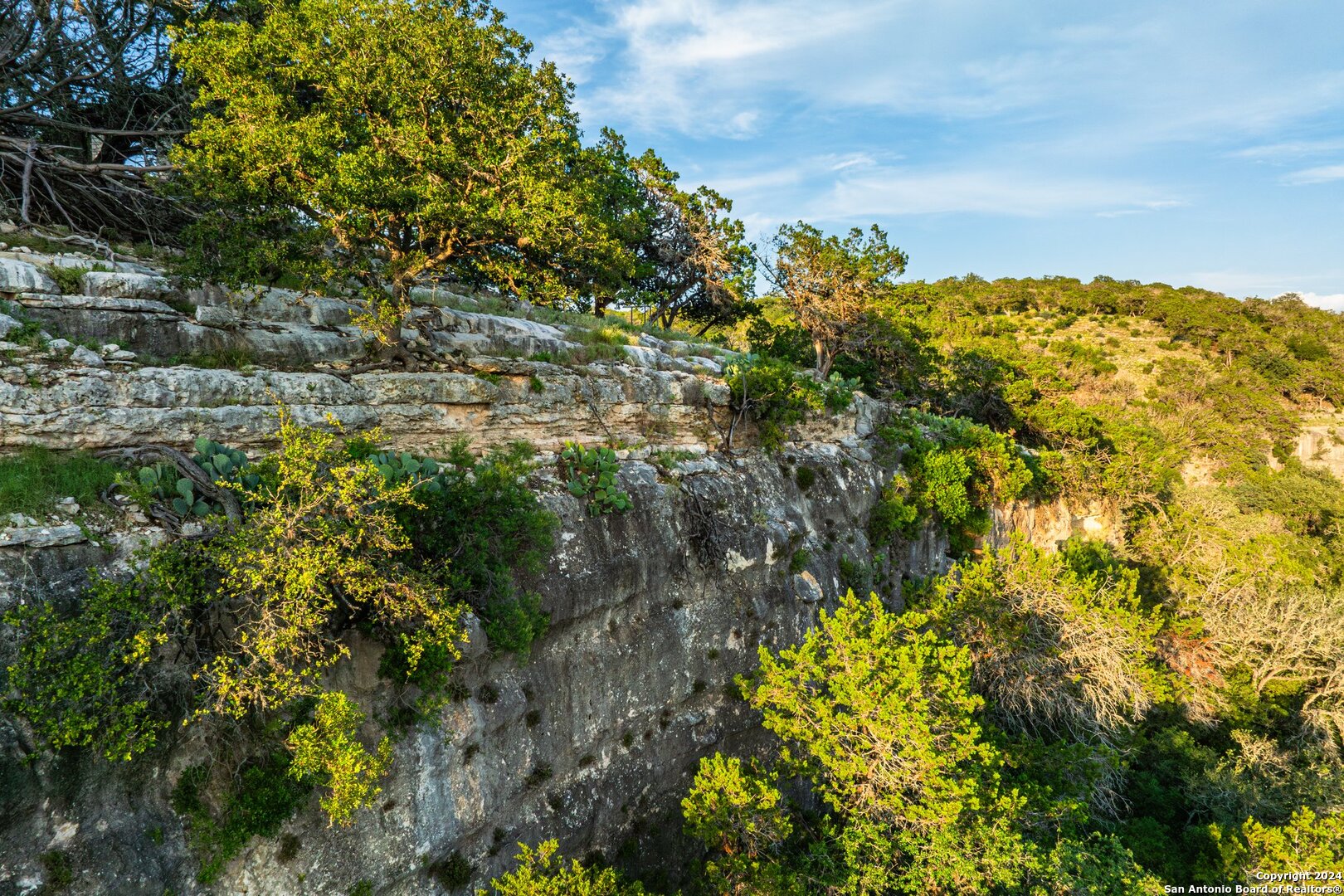 240 River Bend Road West Hunt, TX 78024 - Photo 38 of 45 a view of a large yard with lots of bushes