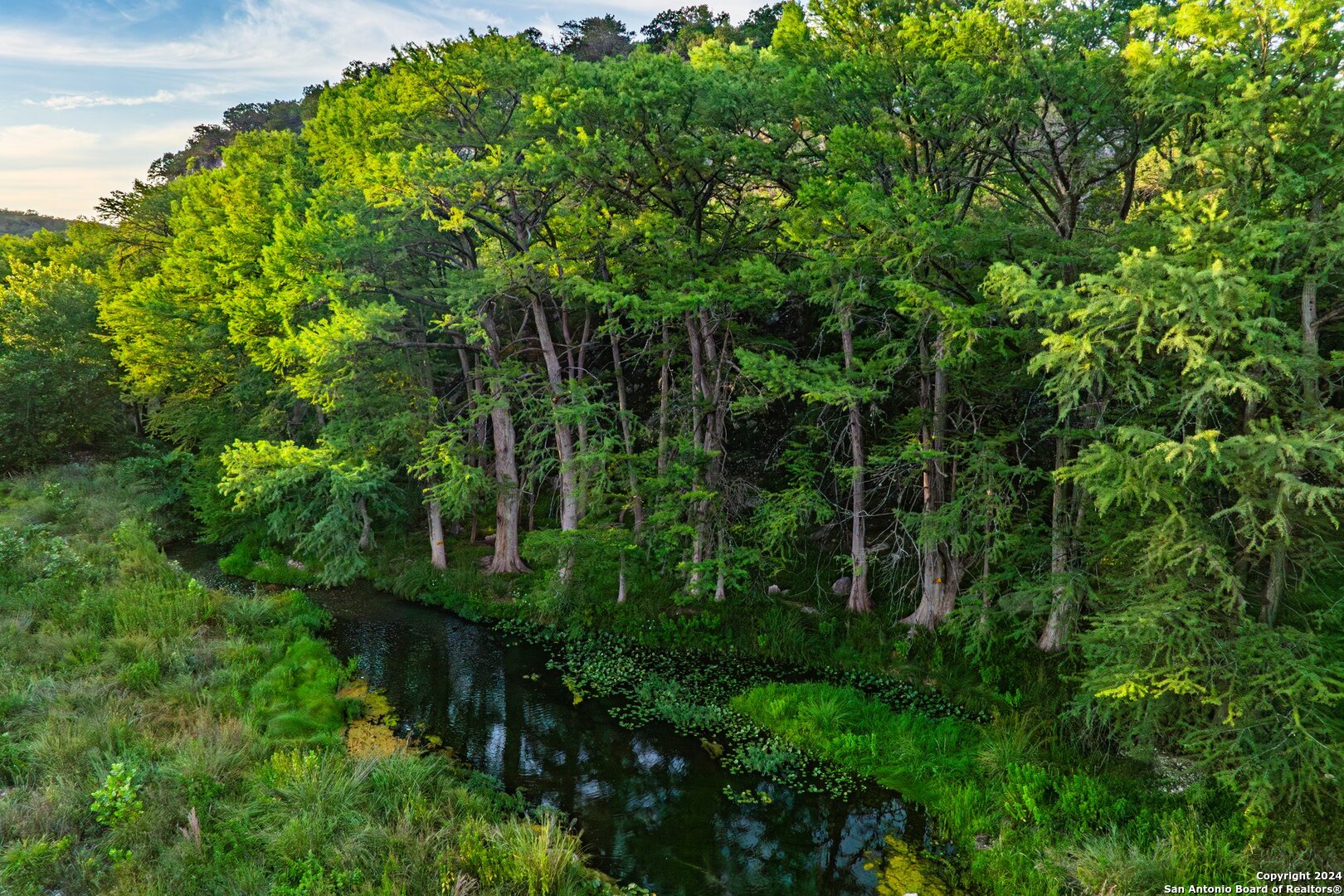 240 River Bend Road West Hunt, TX 78024 - Photo 40 of 45 a view of a garden with plants
