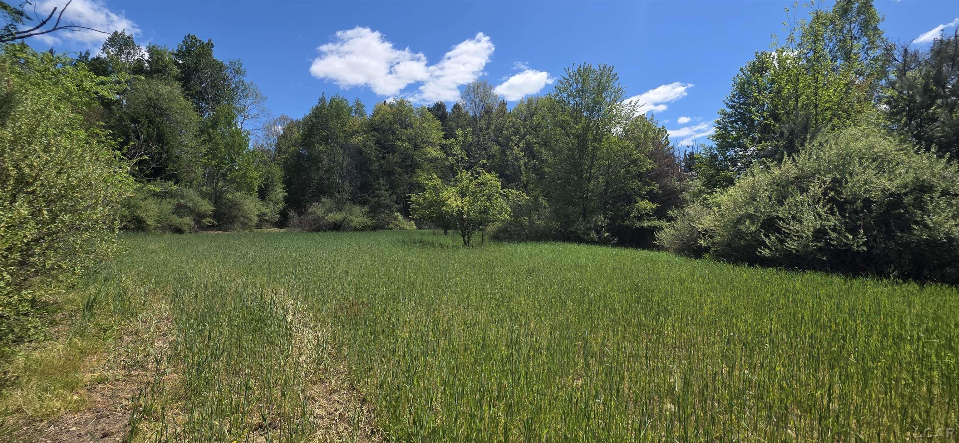15252 27 Mile Road Albion, MI 49224 - Photo 39 of 57
